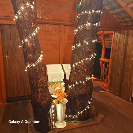 Green Leaf Tree House Dambulla Exterior foto