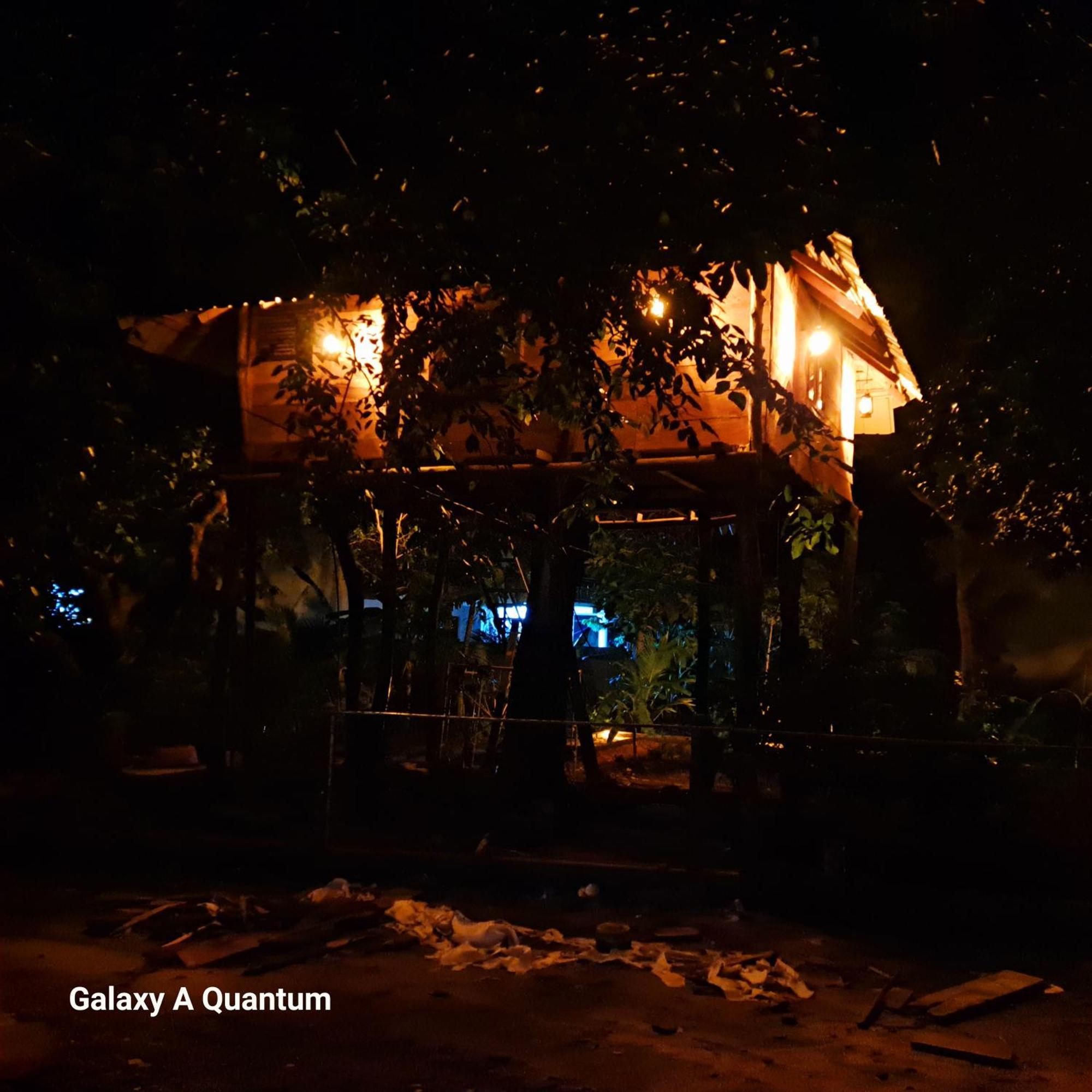 Green Leaf Tree House Dambulla Exterior foto